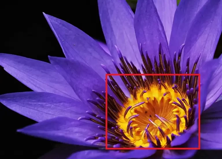 [6 Fixes] 3D Printer Printing Too Thin