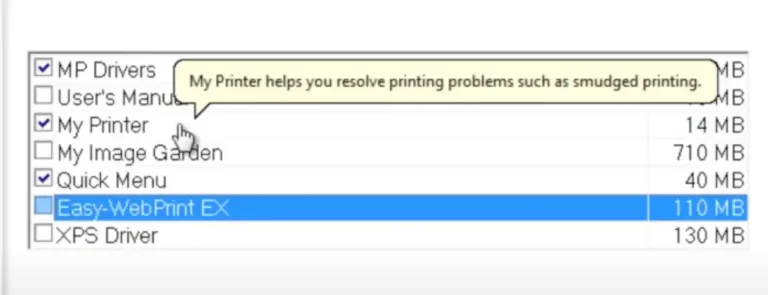 Do EcoTank Printers Dry Out? Know the Fact!